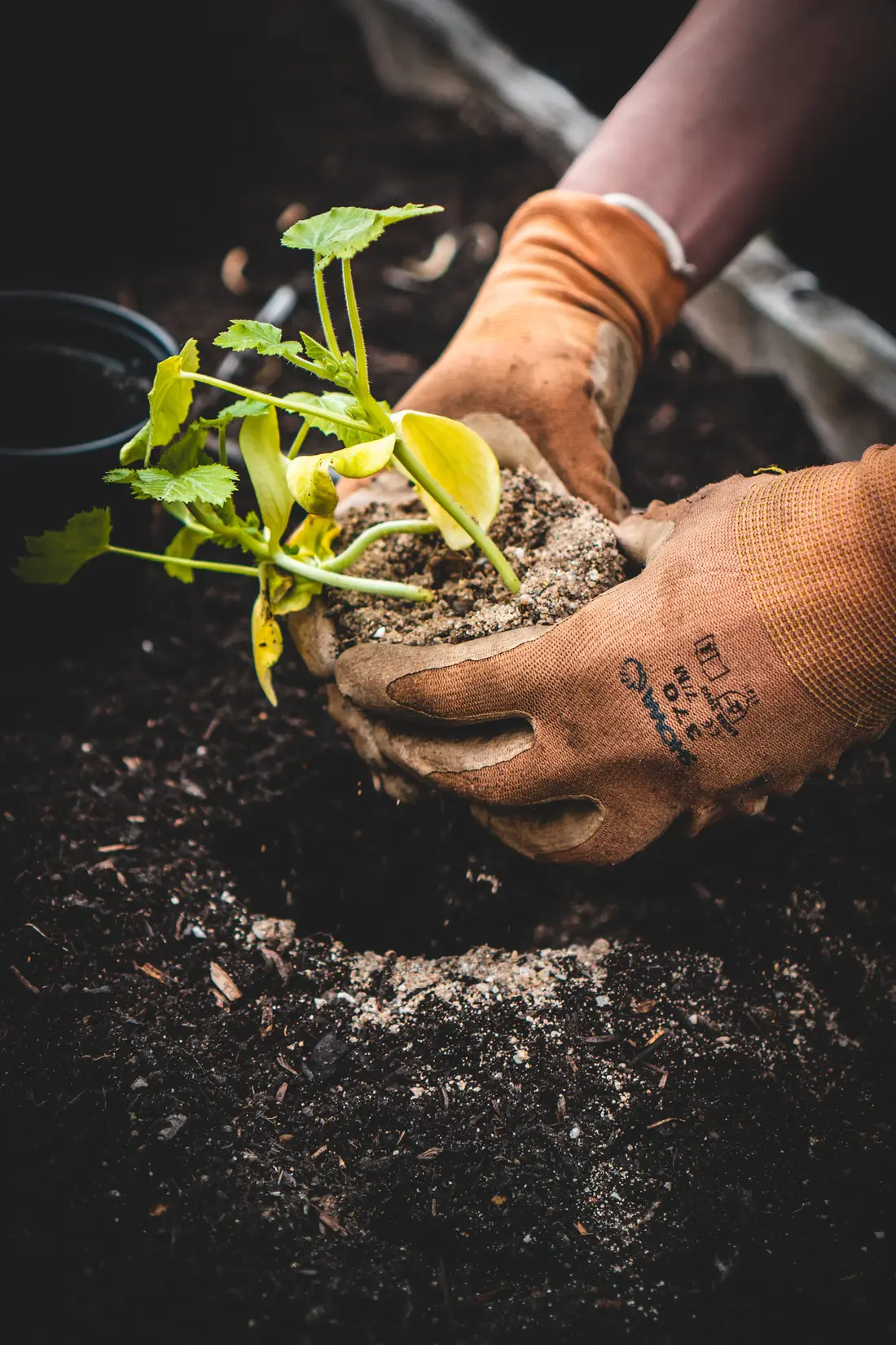 Environmental management & remediation